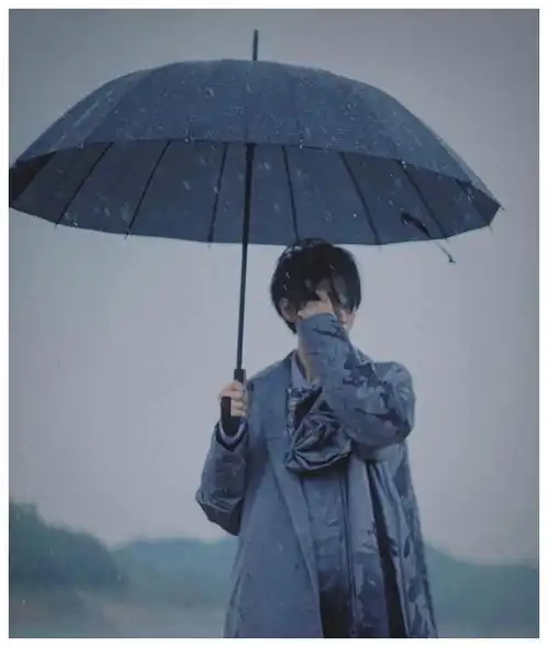 王俊凯撑伞氛围照合集
