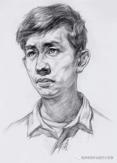 绘画课堂100张高清结构解析图,让你看清对象的本质素描
