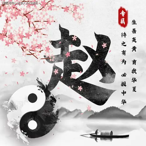 中国风姓氏头像来袭,24张太极黑白风格,打造你的专属标志
