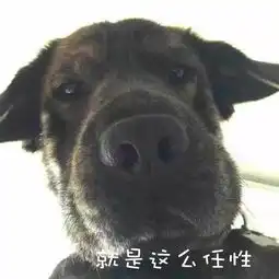 青少年生肖个性化邮票设计大赛谁是你的汪中邮物
