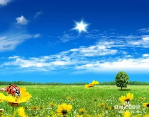 不能空腹去吃的食物有哪些
