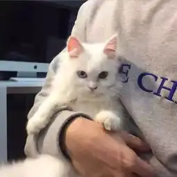 男生头像男生什么时候最想有个女盆友
