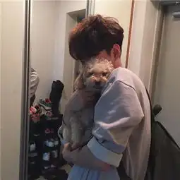 男生抱猫抱狗帅气暖心头像2018精选爱你所以离开你眼泪是回忆