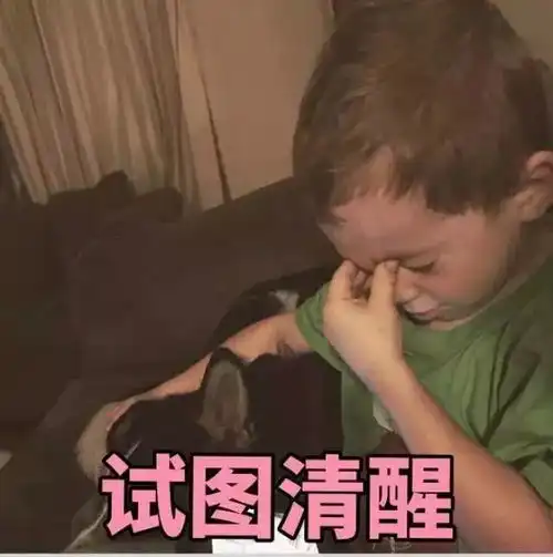 悉尼和墨尔本,谁才是澳洲最佳留学地
