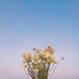 唯美头像图片清新简约