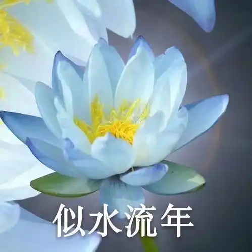闲鱼自带价到底是怎么个意思呢

