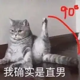 直男文案,被怼了

