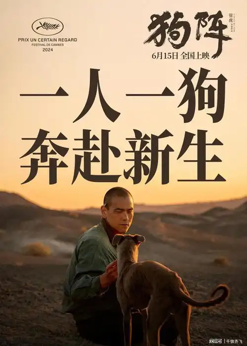 彭于晏狗阵票房仅665万,动画片排球少年强势夺冠
