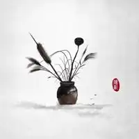 2020新版微信头像男女通用微信头像图片大全
