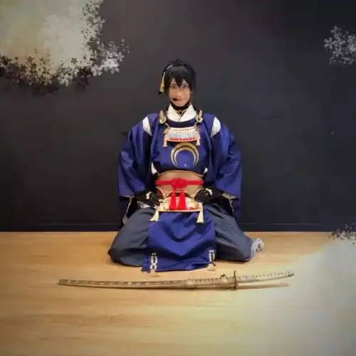 穿越时空,和刀剑男士们修正历史吧
