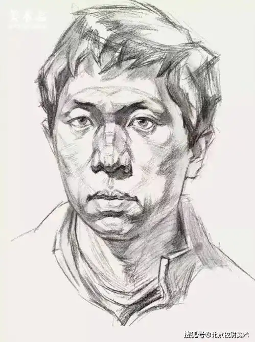 结构素描人像系列
