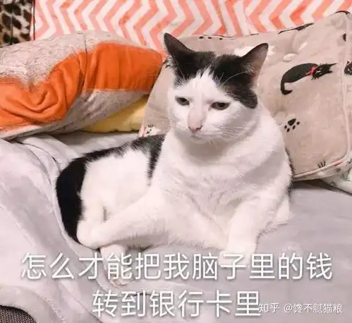 养了猫后,才发现自己上当了,网友被骗得好惨
