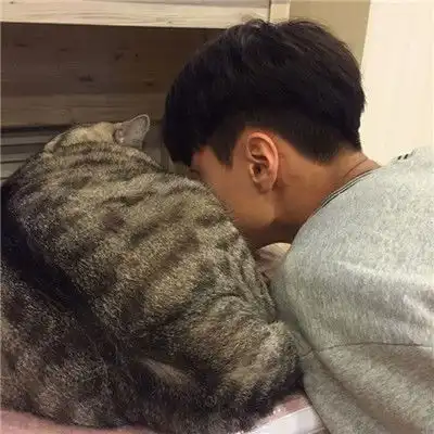 男生抱猫头像2018高清图片我真的好想和你躲一辈子猫猫