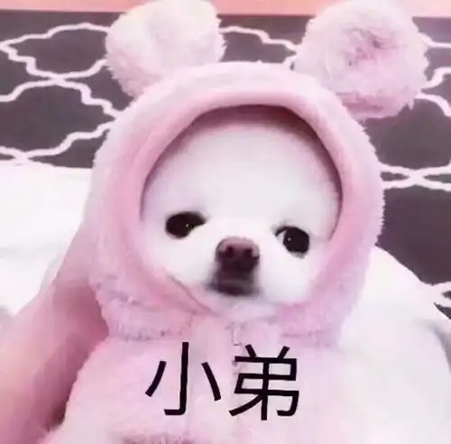 分手后该不该复合
