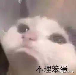 阴盛阳衰,男娃不行盘点魔都数竞最强6位牛娃,他们有6个共同点
