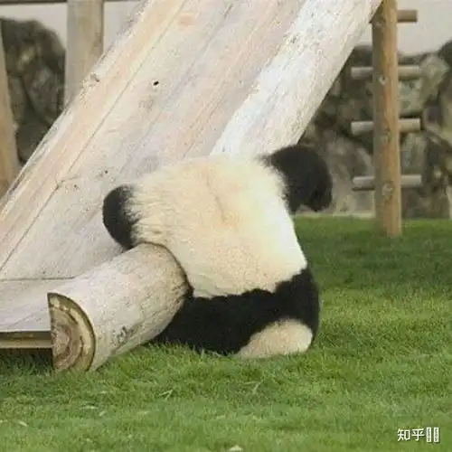 现在学生真的真么多gay
