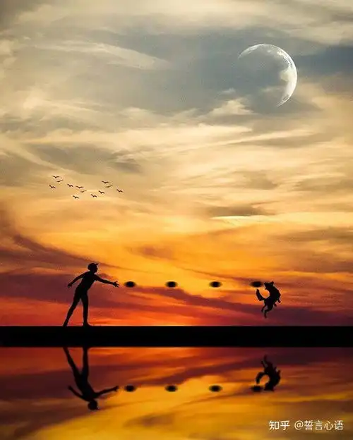 感悟人生的扎心语录,充满哲理,引人深思
