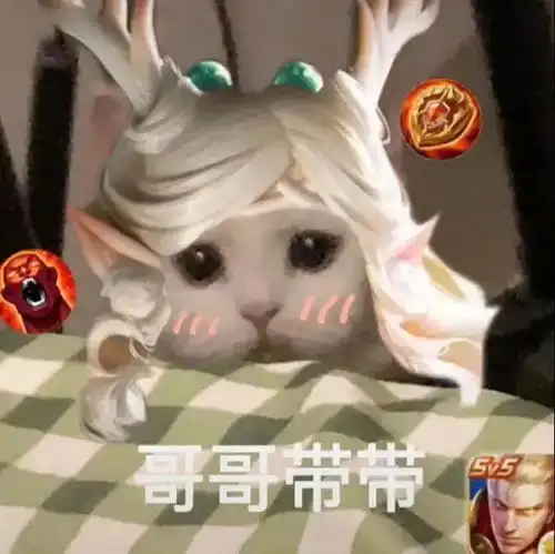 猫猫王者荣耀表情包

