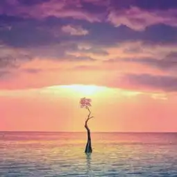 经一事长一智,遇一人懂一人
