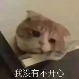 40岁的高圆圆蝉联直男女神top3,她真正戳中直男审美g点的不是脸
