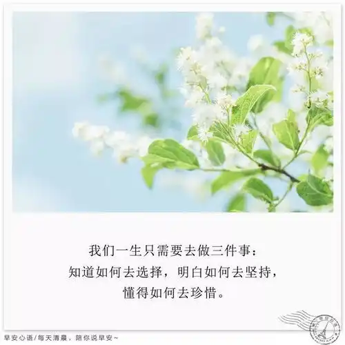 每日励志早安心语早安励志图片带字唯美
