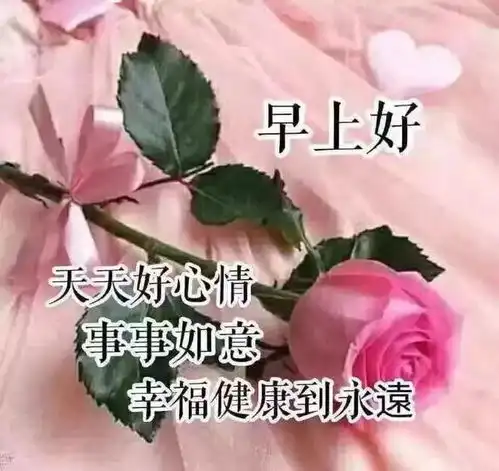 向上攀爬,不畏困难,不畏艰险不会后退,只会向前,早安
