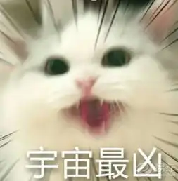 宁夏论坛图片集锦
