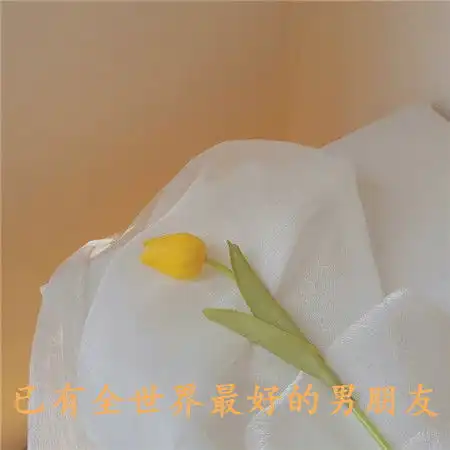 已有全世界最好的男朋友背景图抖音热门好看的又很唯美的素材
