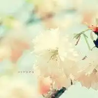 我是祖国的花朵微信头像微信头像图片大全
