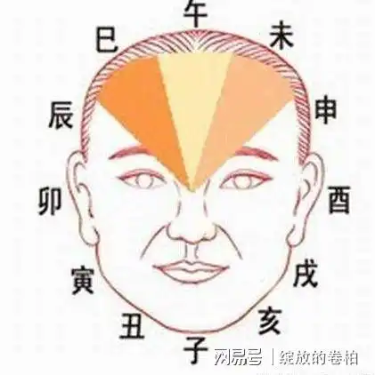 三新手选股,昨天买入山东黄金,当日亏损500多元

