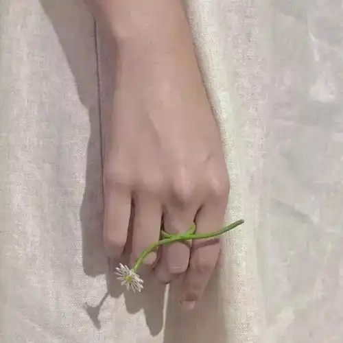 纤纤玉手好想拉住你关于手的唯美图片
