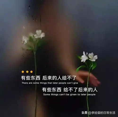15句普通却又值得细细品味的文案