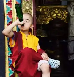 藏族人为什么那么喜欢喝可乐

