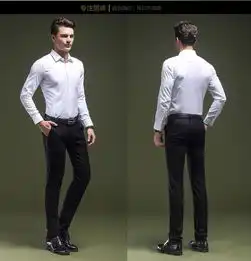 雷斯英杰leisiyingjie2017年秋季男士休闲西裤时尚青年休闲裤长裤修身
