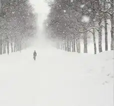 银装素裹的初春暴雪洗劫的灾民
