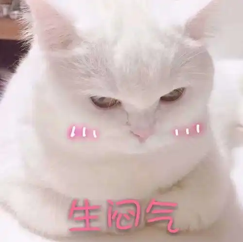 男朋友提出要来我家见父母
