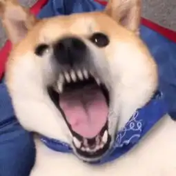 头像爱,是一种给予
