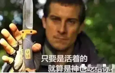洪荒少女傅园慧要跟贝爷去吃虫子了
