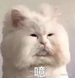 花千万娶小奶狗,却被渣男孕期出轨n次大玩3p,她还惨遭敲诈100w
