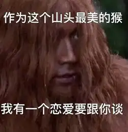 菊家军到镇魂女孩,粉丝打造社交货币,亚文化追星成主流
