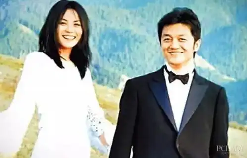 怎么评价王菲这个人
