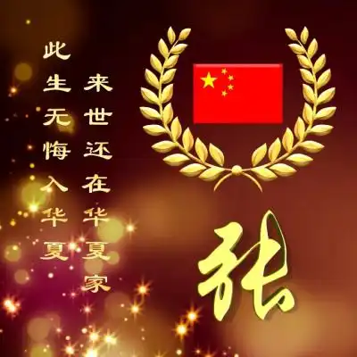 爱国姓氏头像此生无悔入华夏来世还在华夏家
