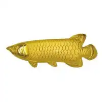 金龙鱼头像图片大全微信头像图片大全
