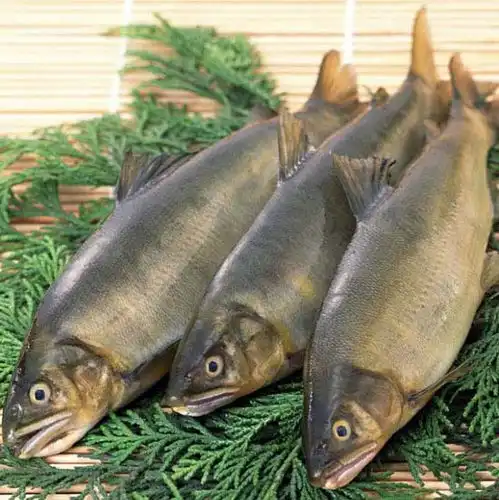 秋季防脱发多吃4种护发神器
