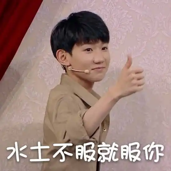 墙都不服就服你下一句是啥
