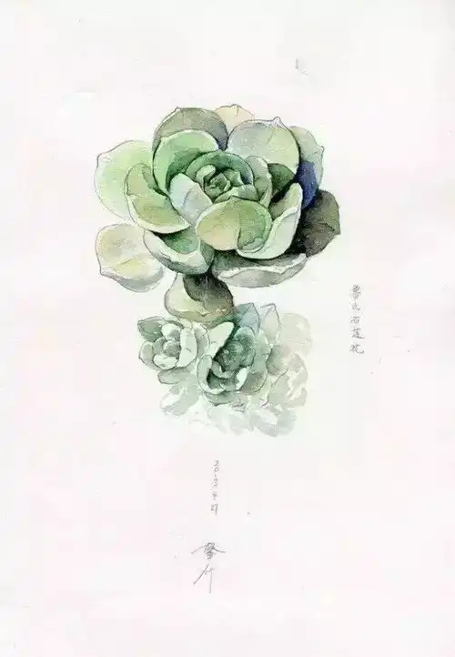 简约,唯美,清新看了就爱上系列
