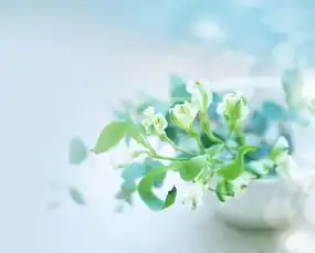 时间会告诉你一切真相
