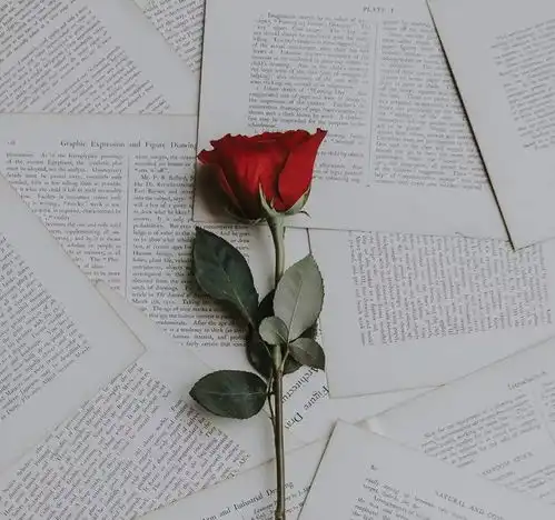 成熟男人很想娶你,他考虑的是,这两个关键点
