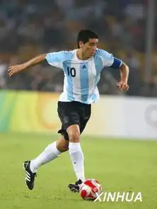 迭戈博纳诺特图册
