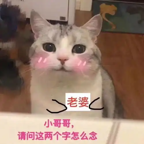 约惠女神威海各景区推出重大优惠政策,你准备好了吗
